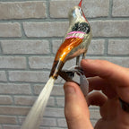 Antique Germany Glass Clip On Bird Ornament Multi Colored Cotton Spun Tail
