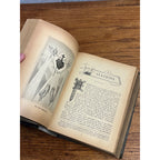 Antique 1895 Catholic Miscellany book New York Murphy & McCarthy - Freemasonry