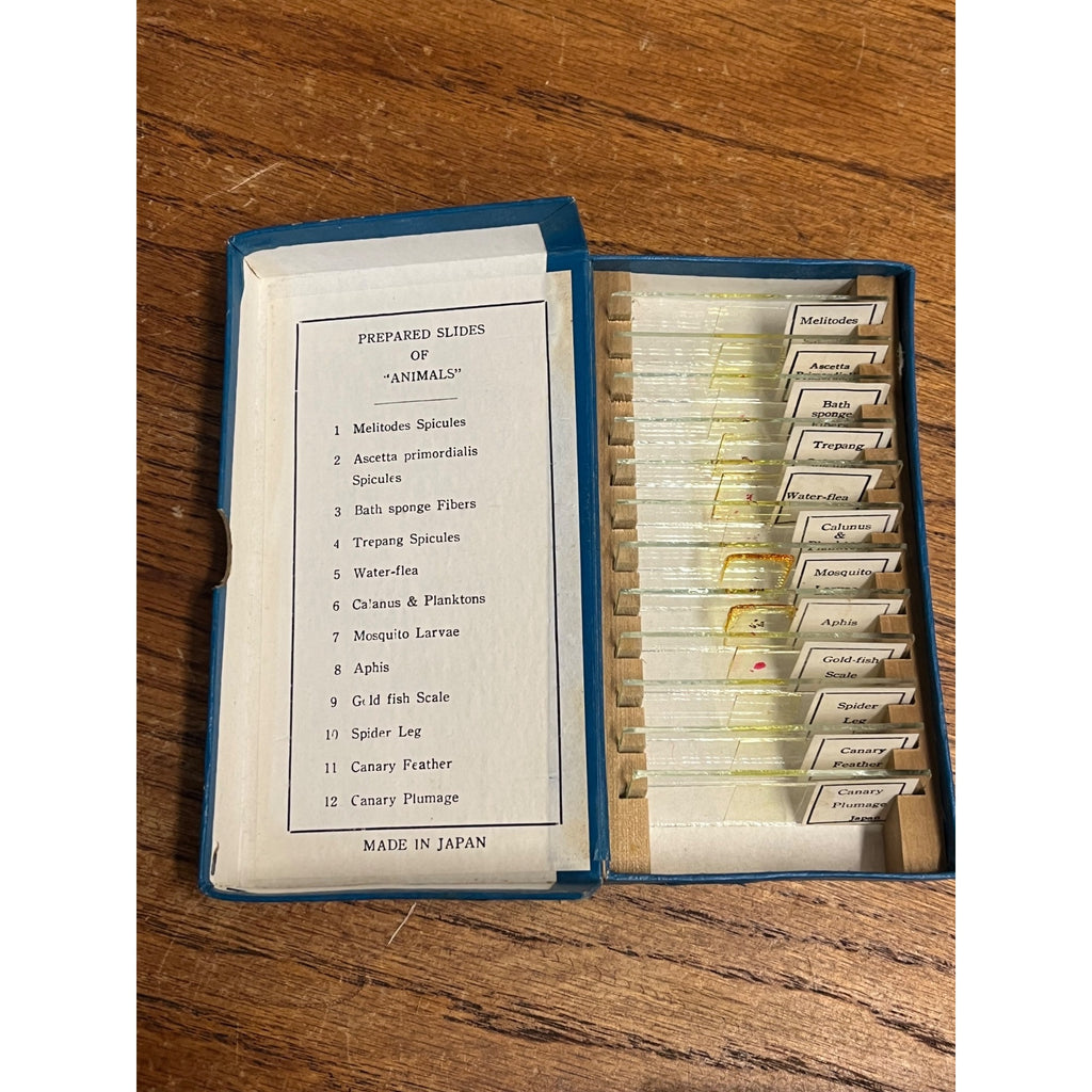 Vintage Tasco Microscope Slides Scientific Homeschool Lot Animals Plants Fibres