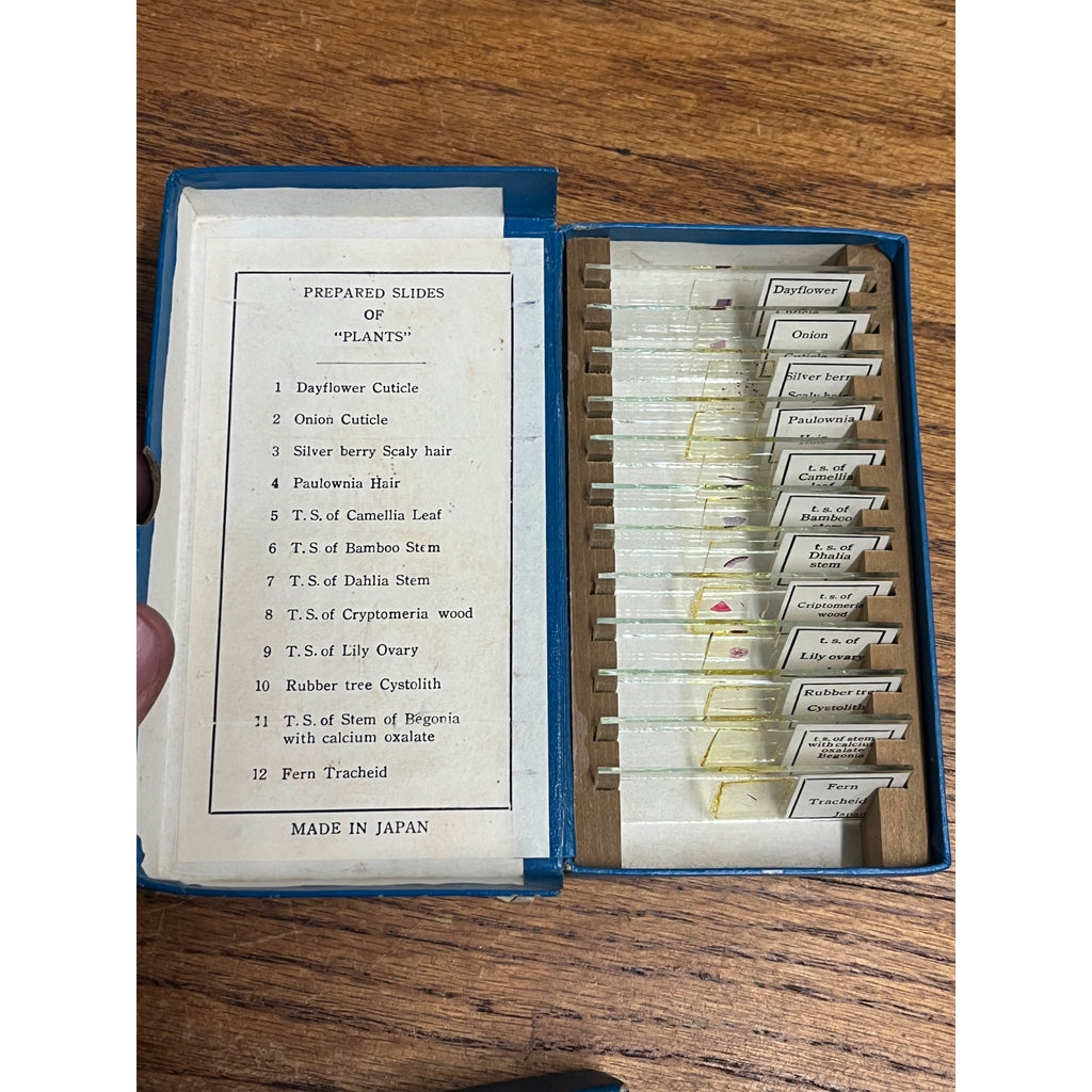 Vintage Tasco Microscope Slides Scientific Homeschool Lot Animals Plants Fibres