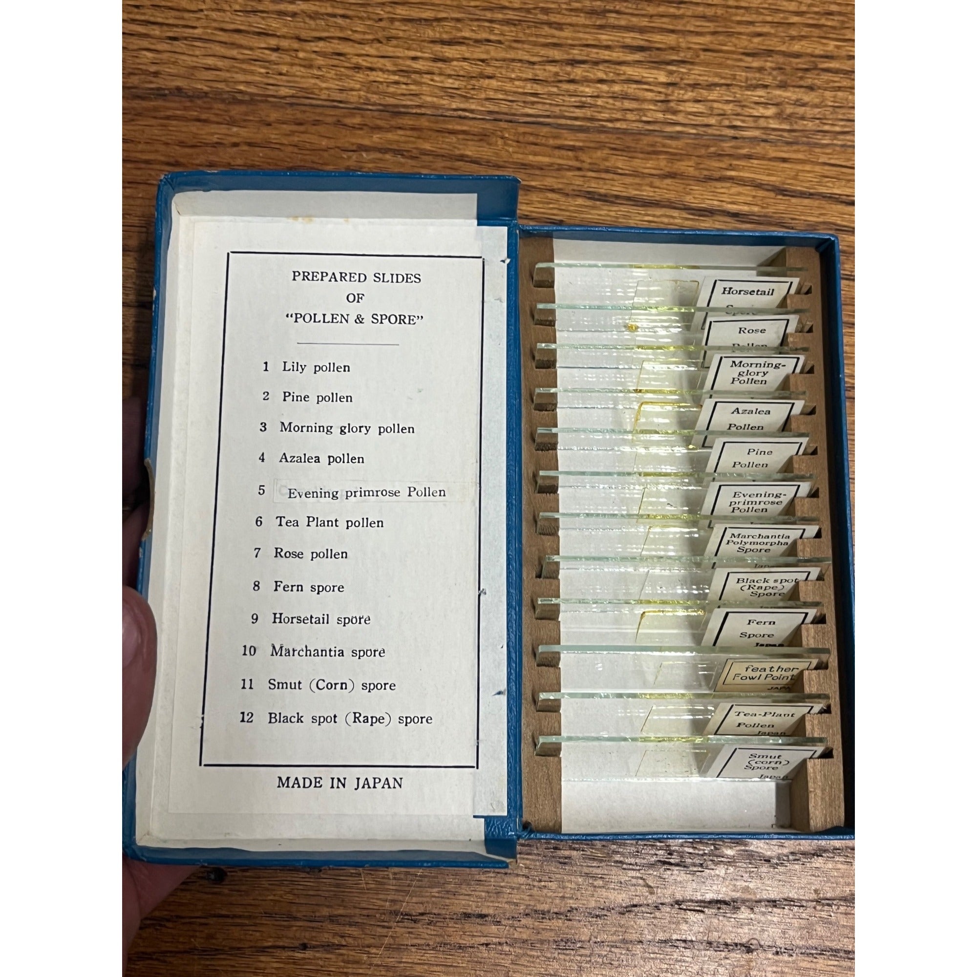 Vintage Tasco Microscope Slides Scientific Homeschool Lot Animals Plants Fibres