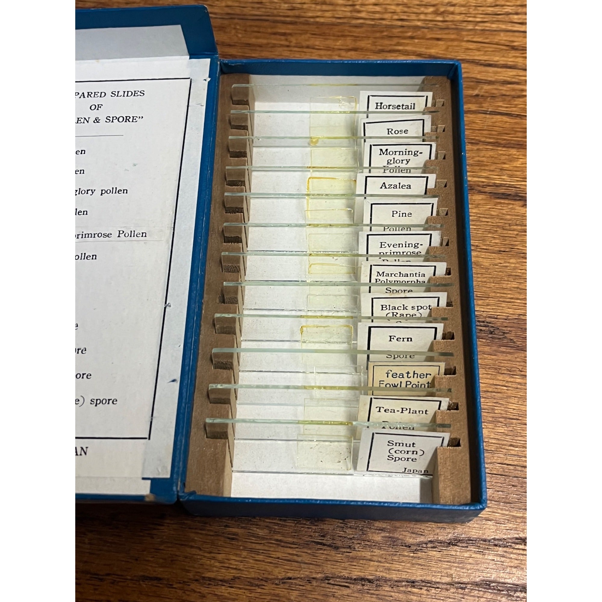 Vintage Tasco Microscope Slides Scientific Homeschool Lot Animals Plants Fibres