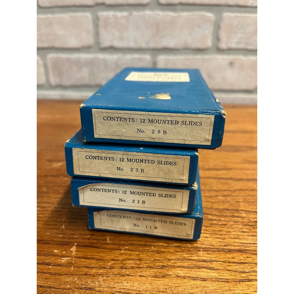 Vintage Tasco Microscope Slides Scientific Homeschool Lot Animals Plants Fibres