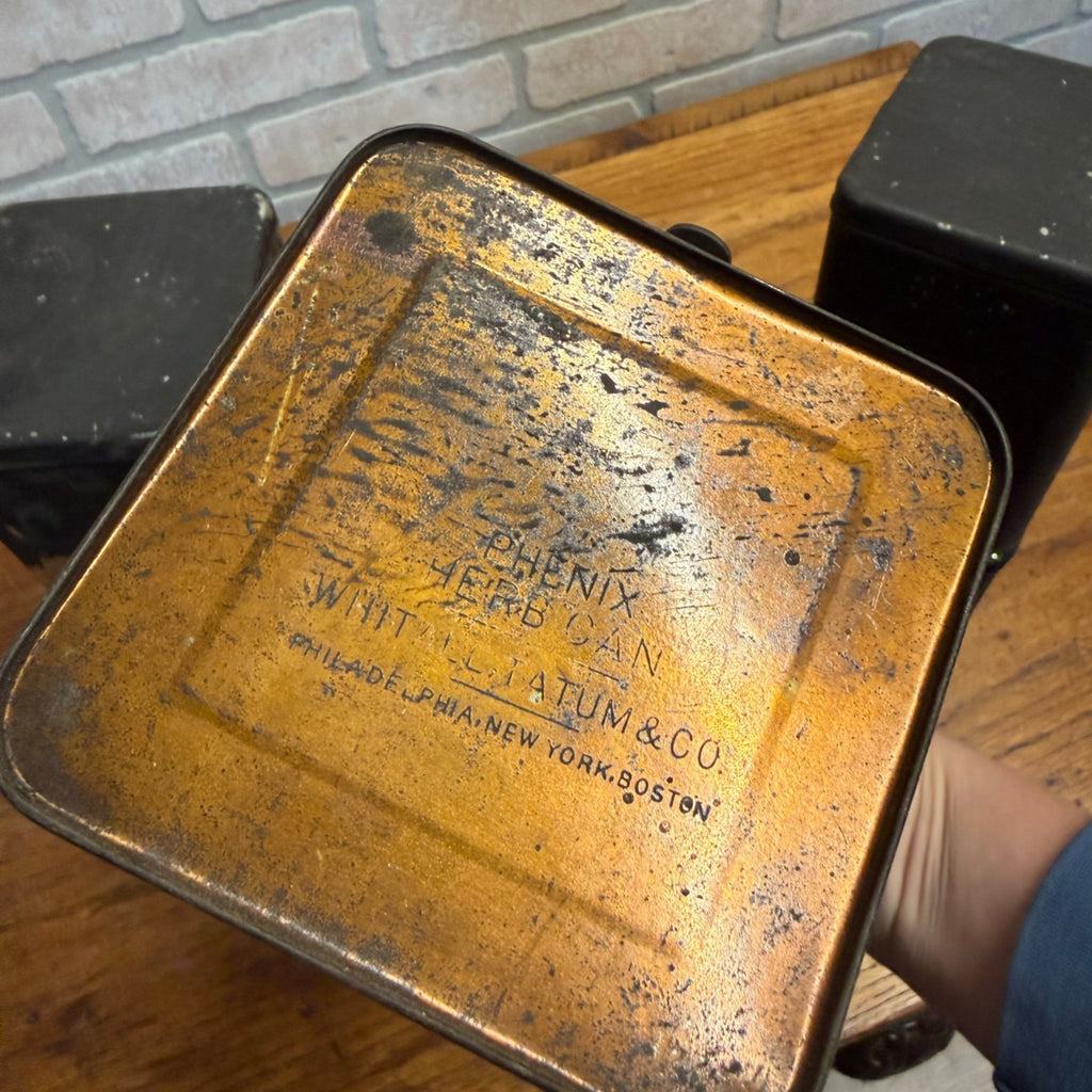 Lot of (6) 1900s Apothecary Seed Phenix Herb Can Druggist Storage Metal Bins Empty