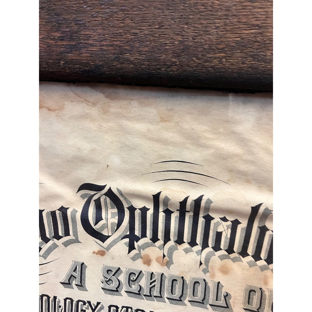 Vintage School of Ophthalmology Otology Certificate 1895 Chicago Eye Doctor Optometry