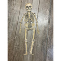 Vintage 1920s Halloween German Diecut Jointed Skeleton Antique