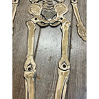 Vintage 1920s Halloween German Diecut Jointed Skeleton Antique