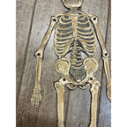Vintage 1920s Halloween German Diecut Jointed Skeleton Antique