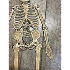 Vintage 1920s Halloween German Diecut Jointed Skeleton Antique