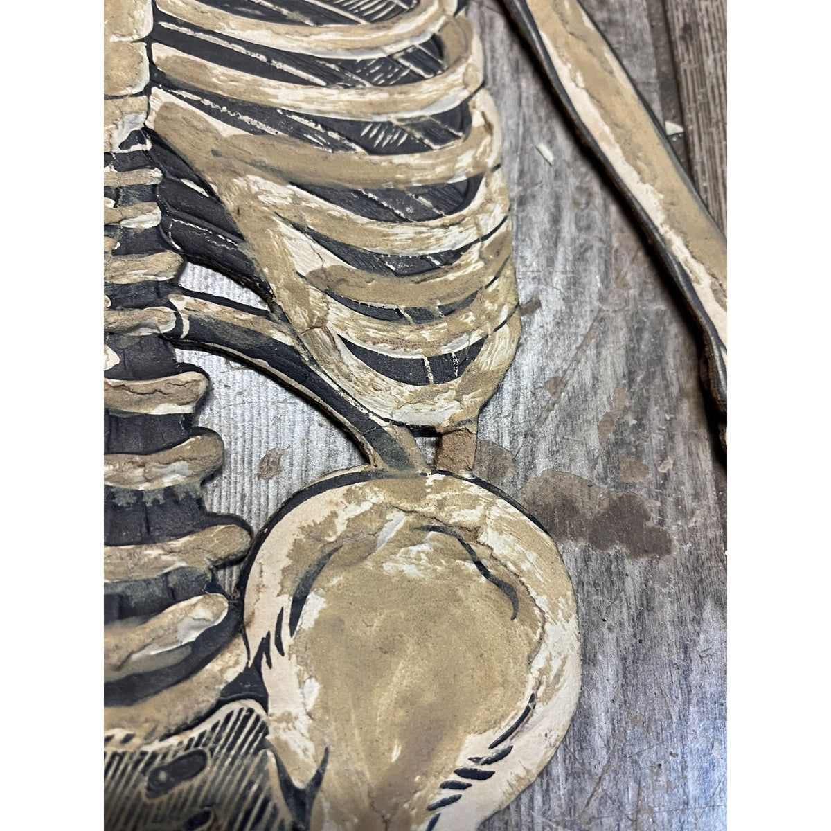 Vintage 1920s Halloween German Diecut Jointed Skeleton Antique