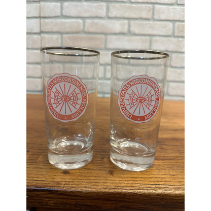 Vintage 1960s University of Wisconsin Badgers Alumni Glasses Numen Lumen Seal