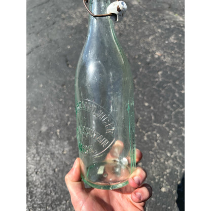 SCARCE Pre-Pro 1890s Mrs A Remmlinger Iron Mountain Mich. UP Saloon Beer Bottle