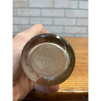 RARE Princeton Beverages Wi ACL Soda Bottle Princeton Wisconsin Bottle Wis
