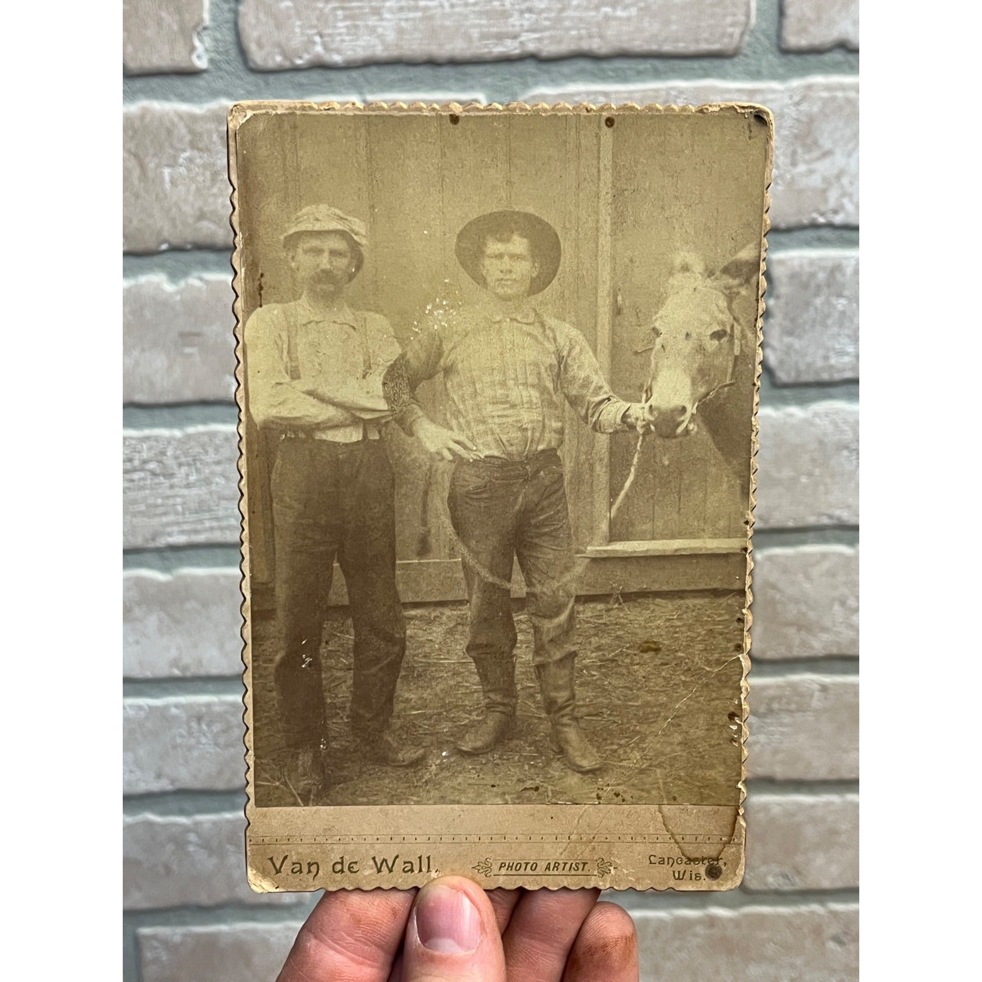 Antique 1880s Cabinet Photo Ranchers w/ Donkey Mule Lancaster Wis Van De Wall