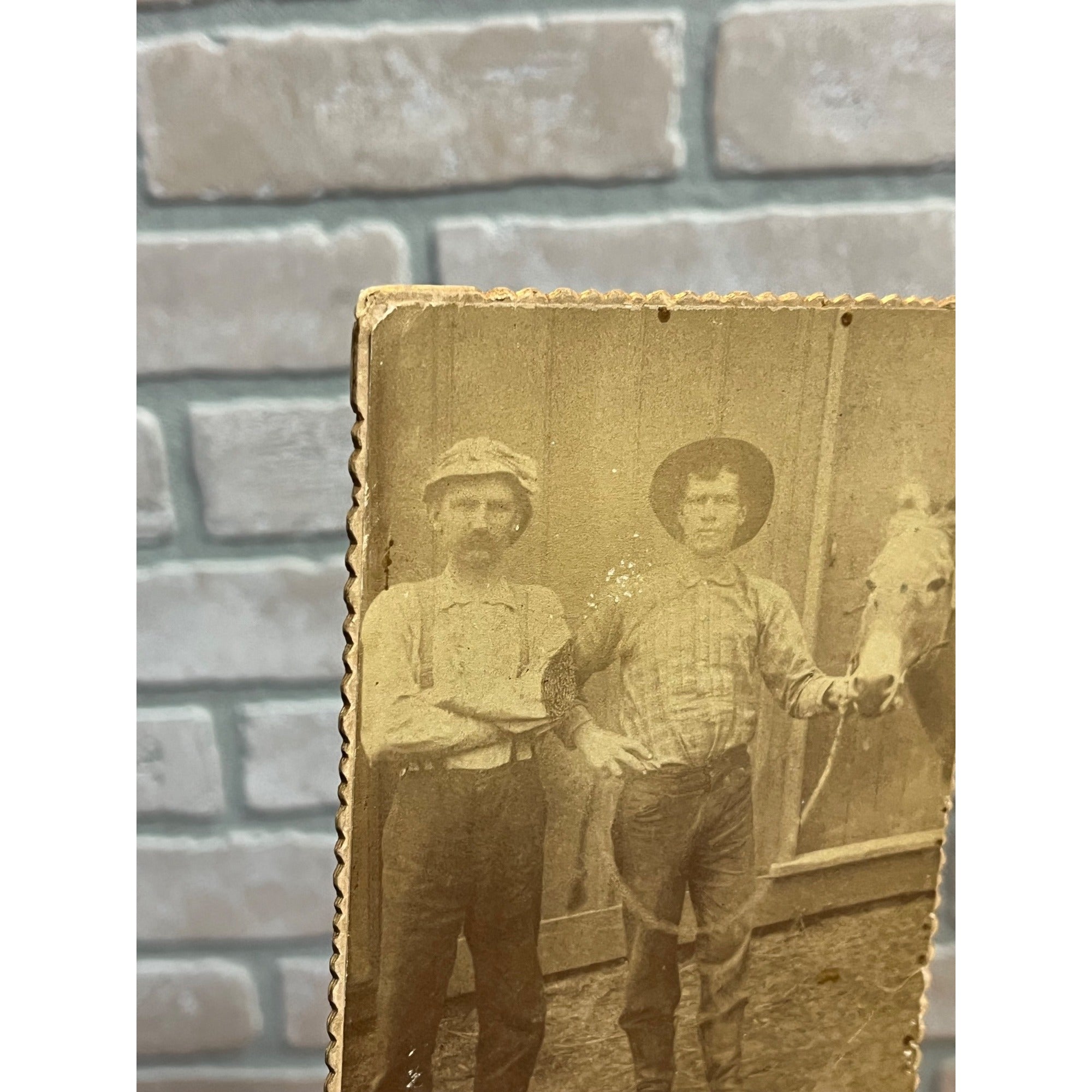 Antique 1880s Cabinet Photo Ranchers w/ Donkey Mule Lancaster Wis Van De Wall