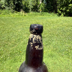 Schlitz Amber blob Top Beer Bottle With Schlitz Globe 12oz Wisconsin Wi Bold