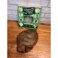 Vintage 1930s Collegeville Halloween Costume Wig Brown - Original Green Box