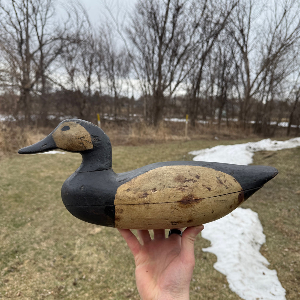 Antique Duck Decoy Old Squaw Wisconsin Find Near Folk Art Hunting Decor