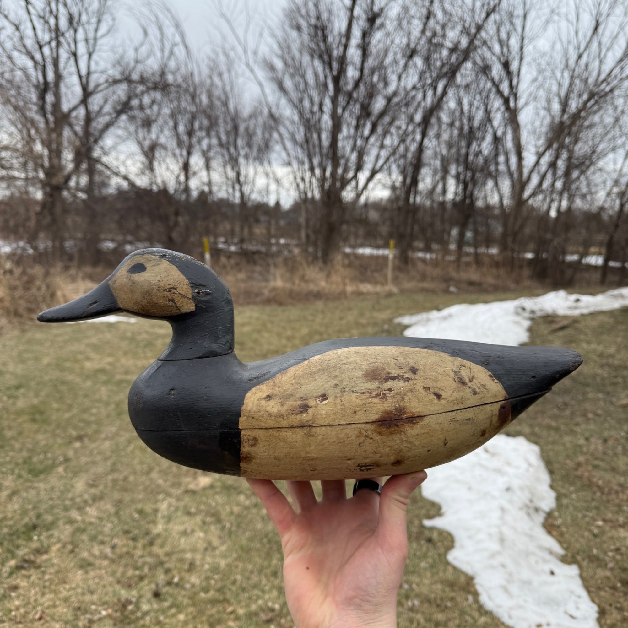 Antique Duck Decoy Old Squaw Wisconsin Find Near Folk Art Hunting Decor