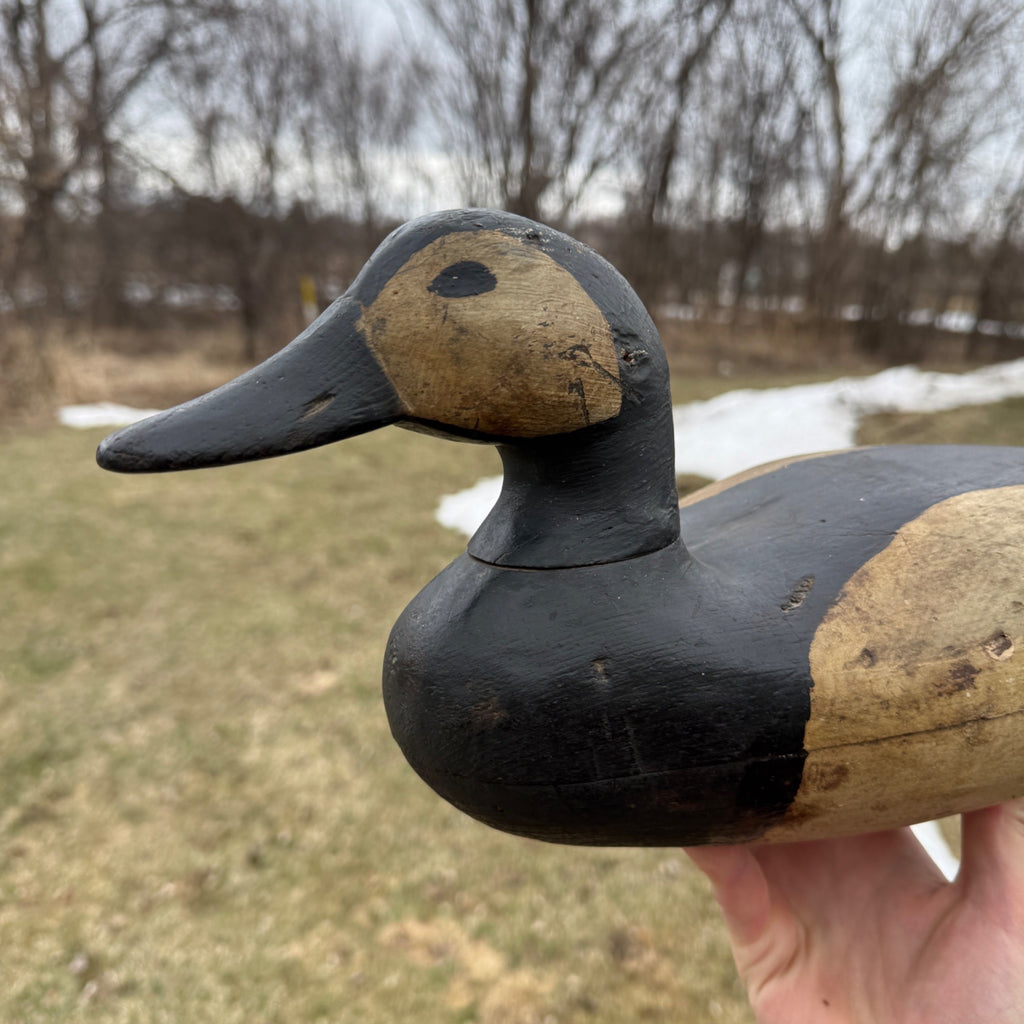 Antique Duck Decoy Old Squaw Wisconsin Find Near Folk Art Hunting Decor