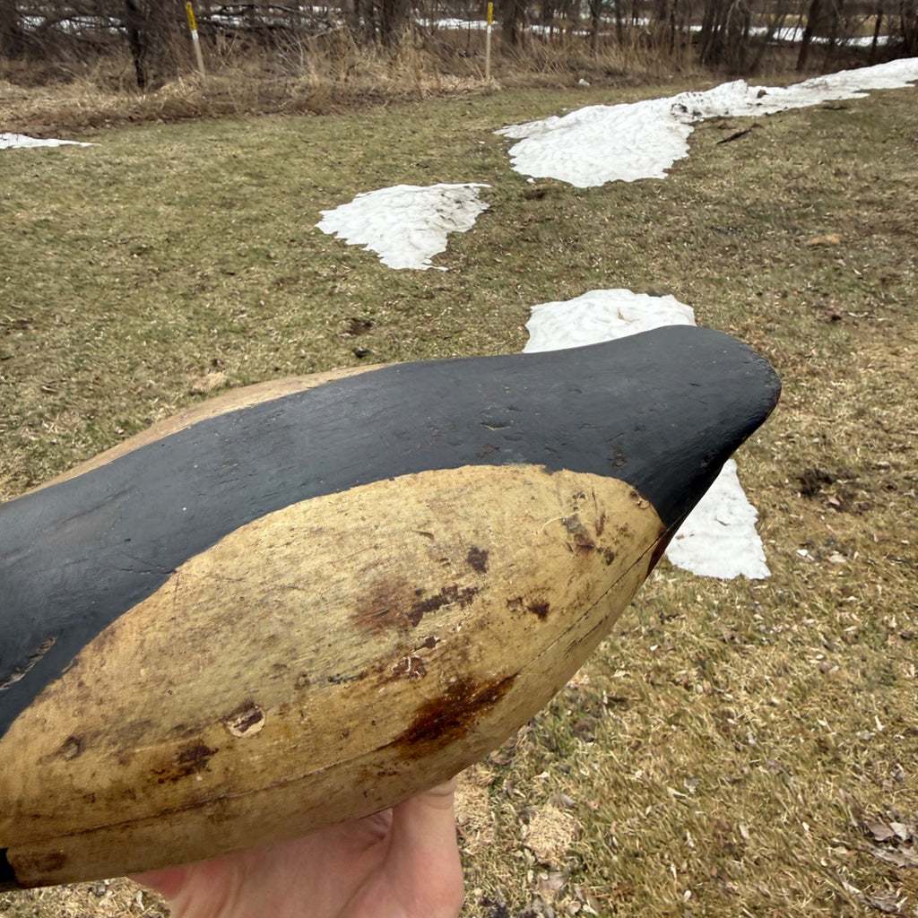 Antique Duck Decoy Old Squaw Wisconsin Find Near Folk Art Hunting Decor