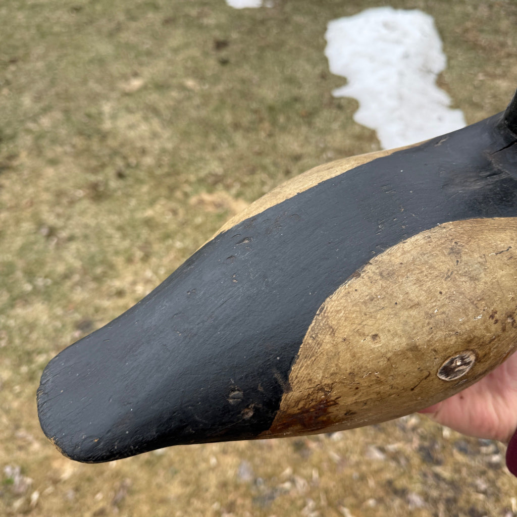 Antique Duck Decoy Old Squaw Wisconsin Find Near Folk Art Hunting Decor