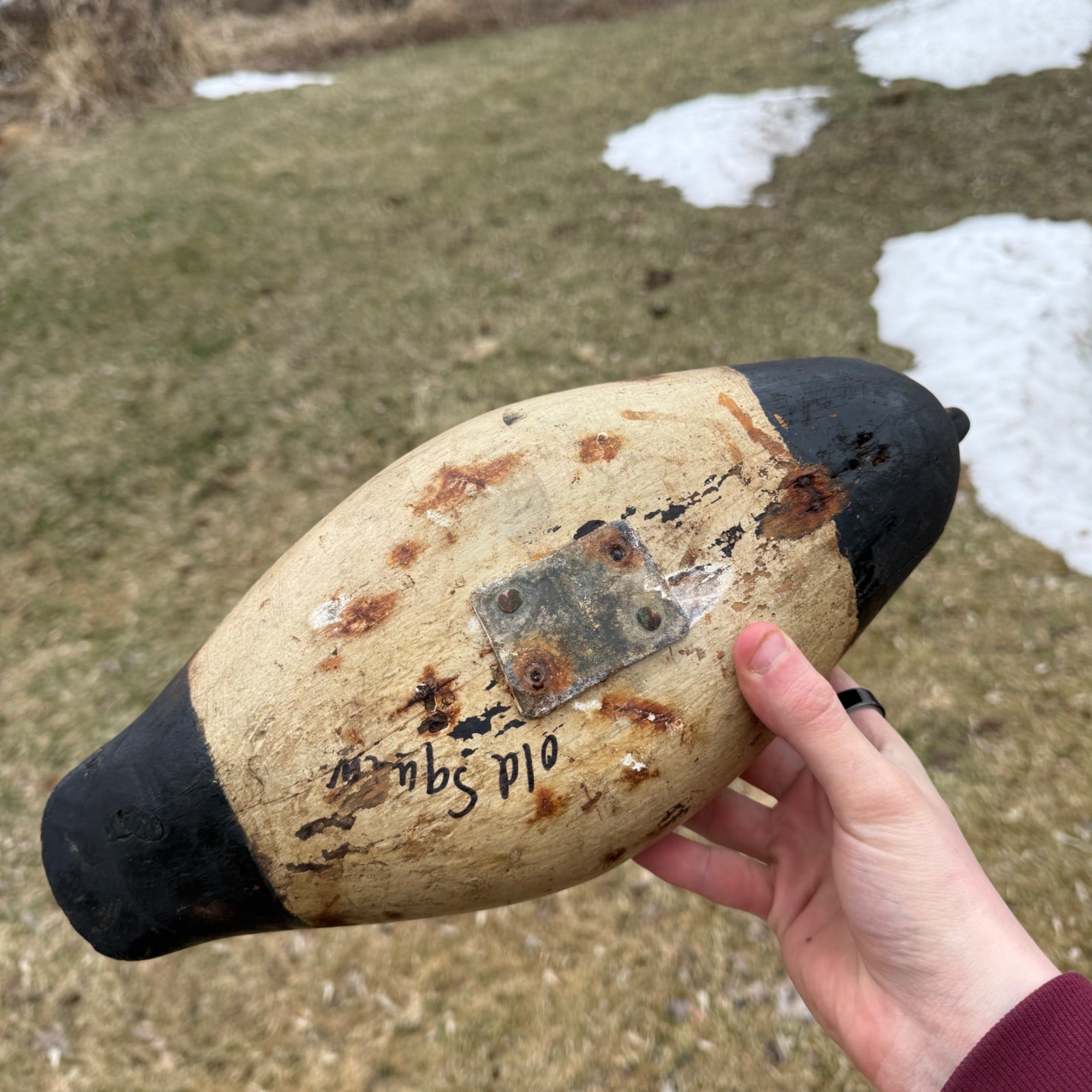 Antique Duck Decoy Old Squaw Wisconsin Find Near Folk Art Hunting Decor