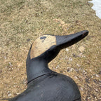 Antique Duck Decoy Old Squaw Wisconsin Find Near Folk Art Hunting Decor
