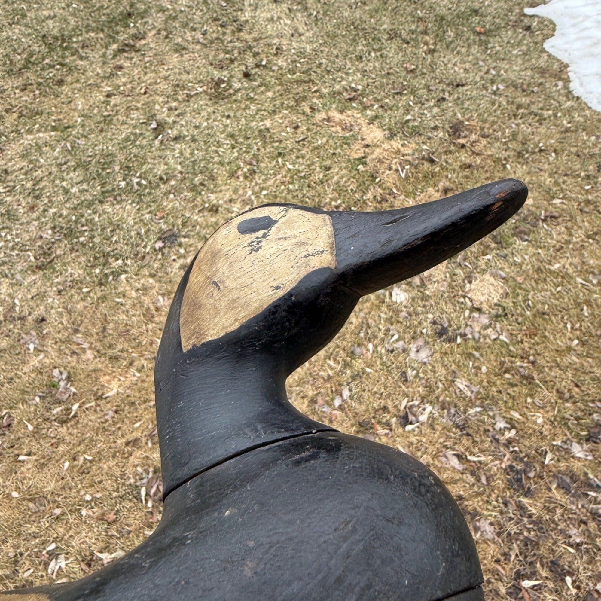 Antique Duck Decoy Old Squaw Wisconsin Find Near Folk Art Hunting Decor