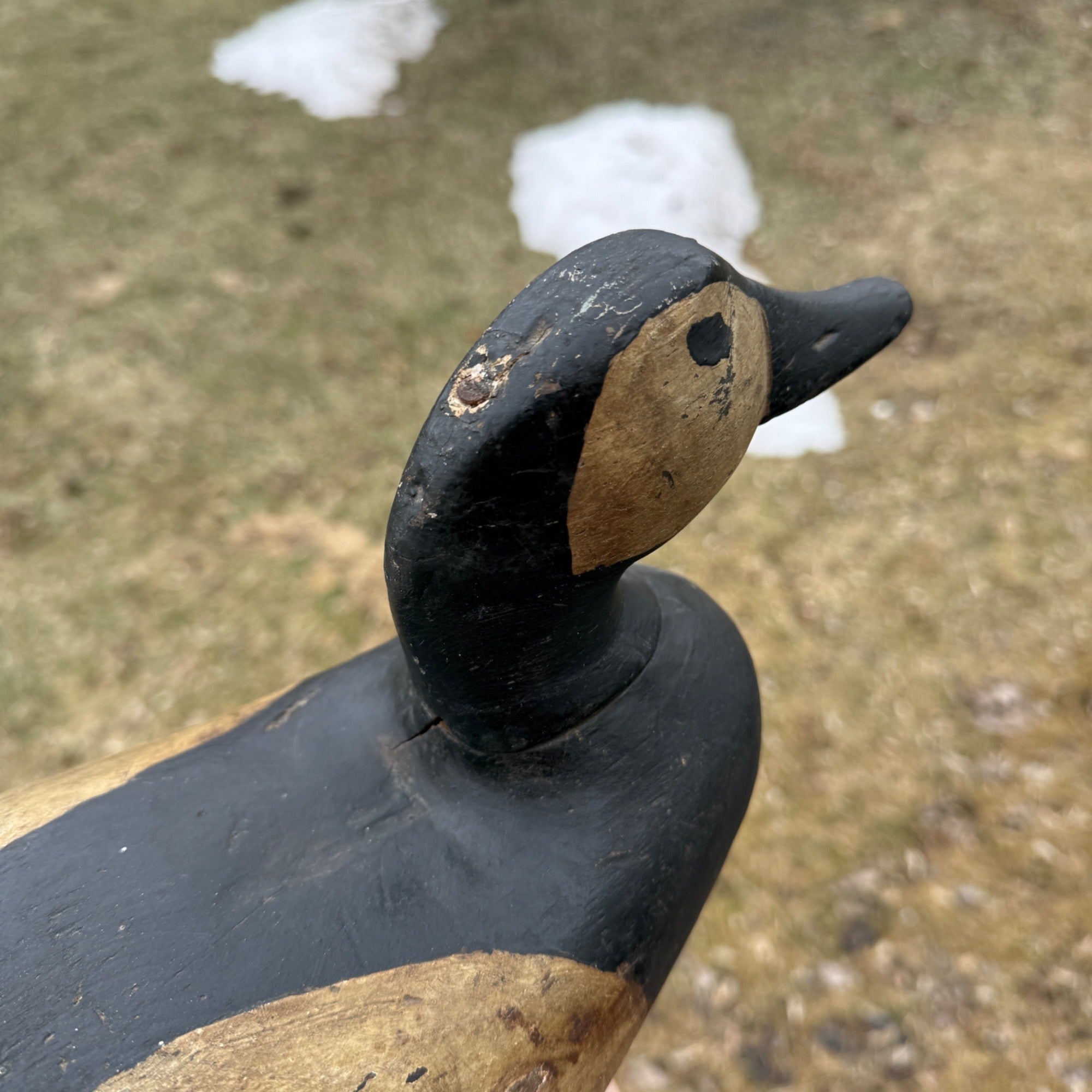 Antique Duck Decoy Old Squaw Wisconsin Find Near Folk Art Hunting Decor