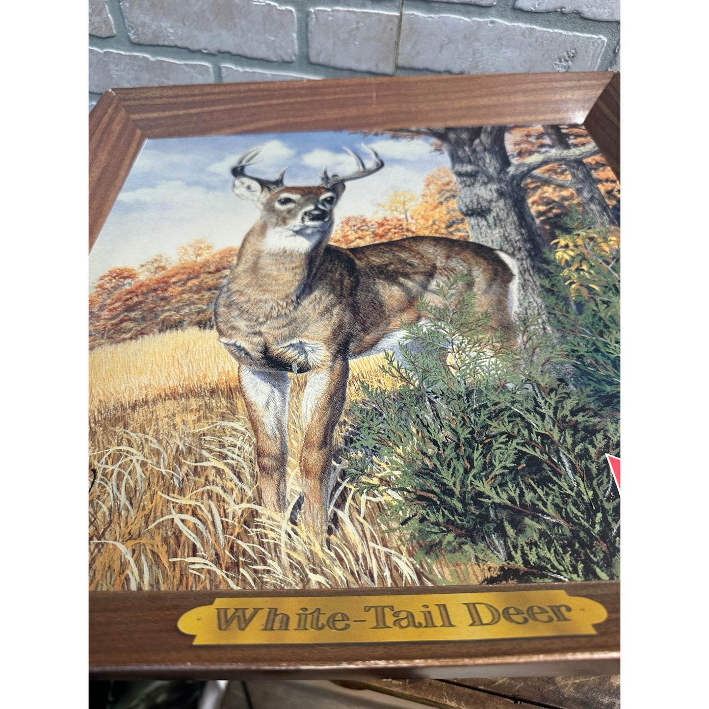 VINTAGE BUDWEISER SELF-FRAMED WHITETAIL DEER CARDBOARD SIGN 18X18 RARE + BASS