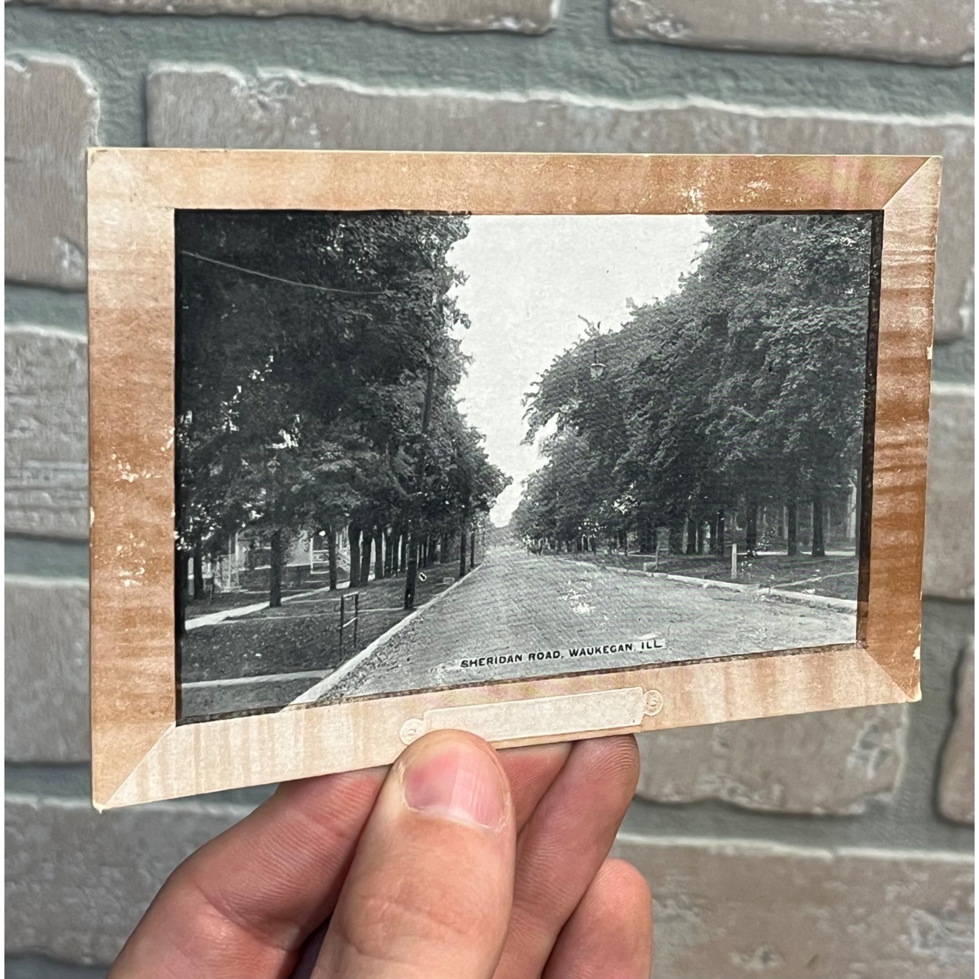 Vintage 1900s Waukegan Illinois Postcard Sheridan Road Rd Street View