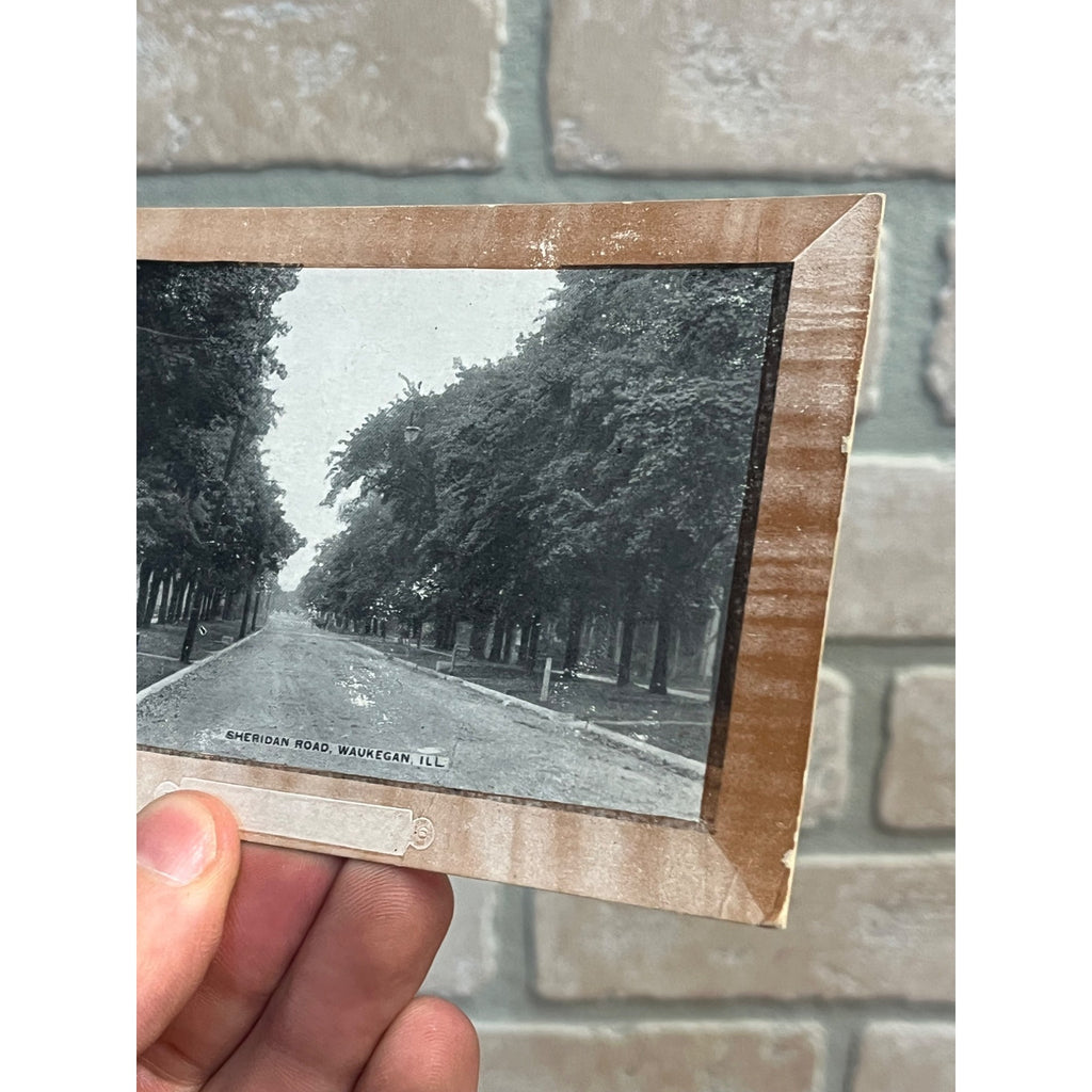 Vintage 1900s Waukegan Illinois Postcard Sheridan Road Rd Street View