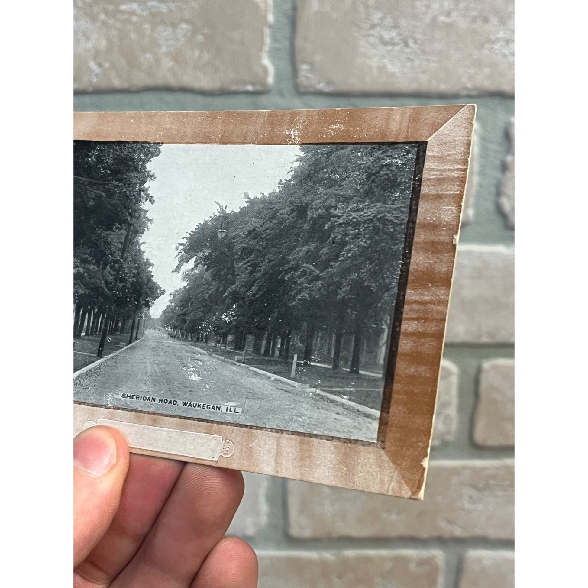Vintage 1900s Waukegan Illinois Postcard Sheridan Road Rd Street View