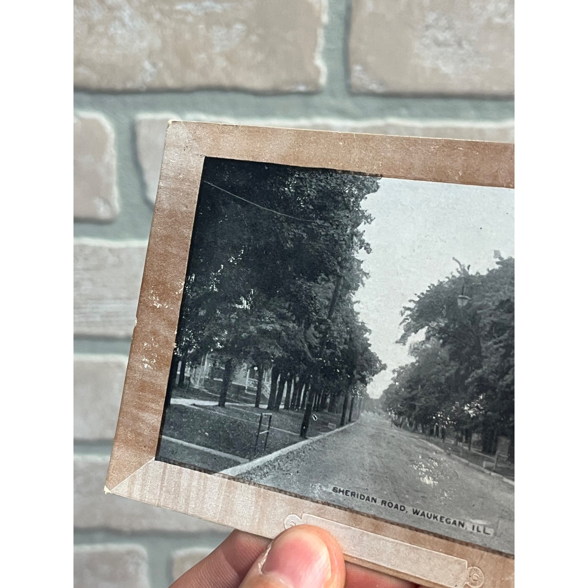 Vintage 1900s Waukegan Illinois Postcard Sheridan Road Rd Street View