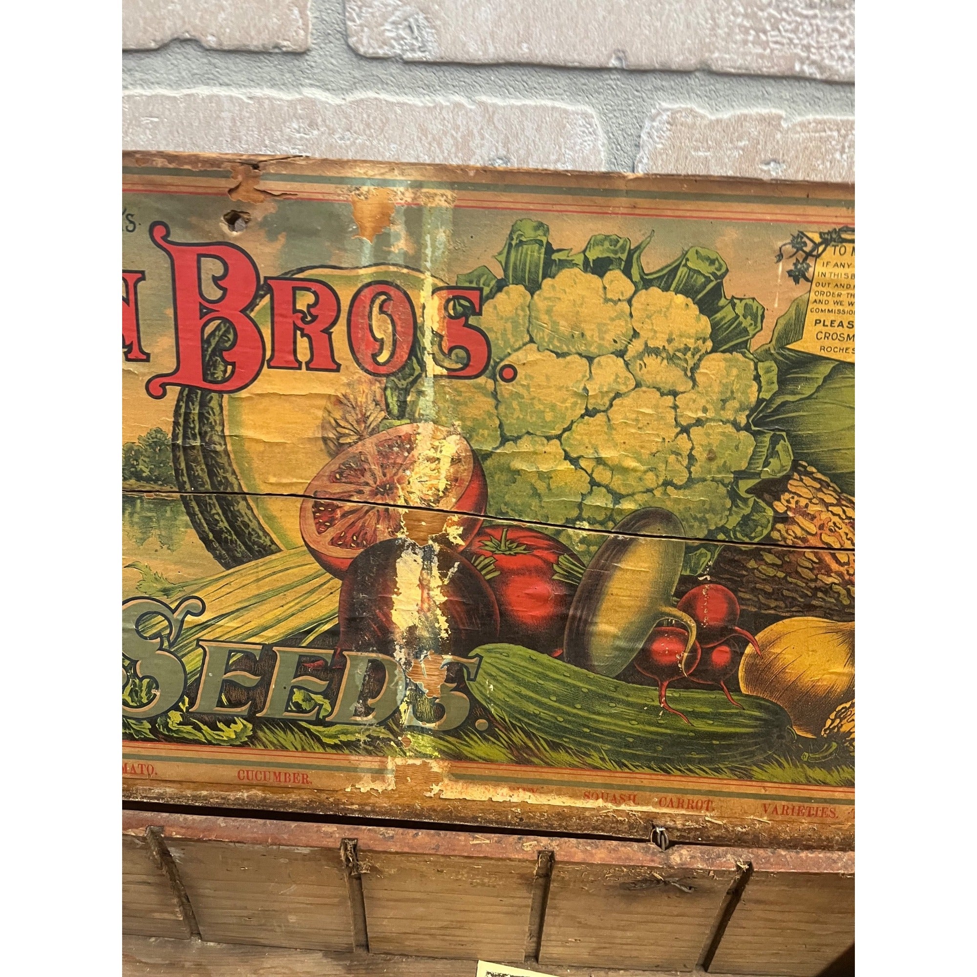 Original Antique Crosman Bros Garden Seeds Display Box Rochester, NY Flowers