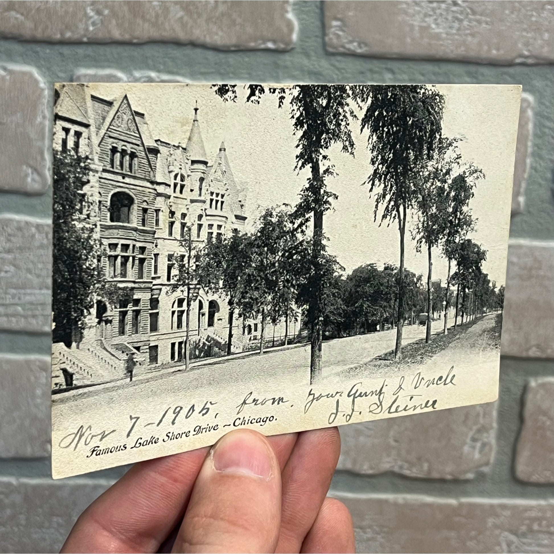 Vintage 1900s Chicago Illinois Postcard Lake Shore Drive Street View