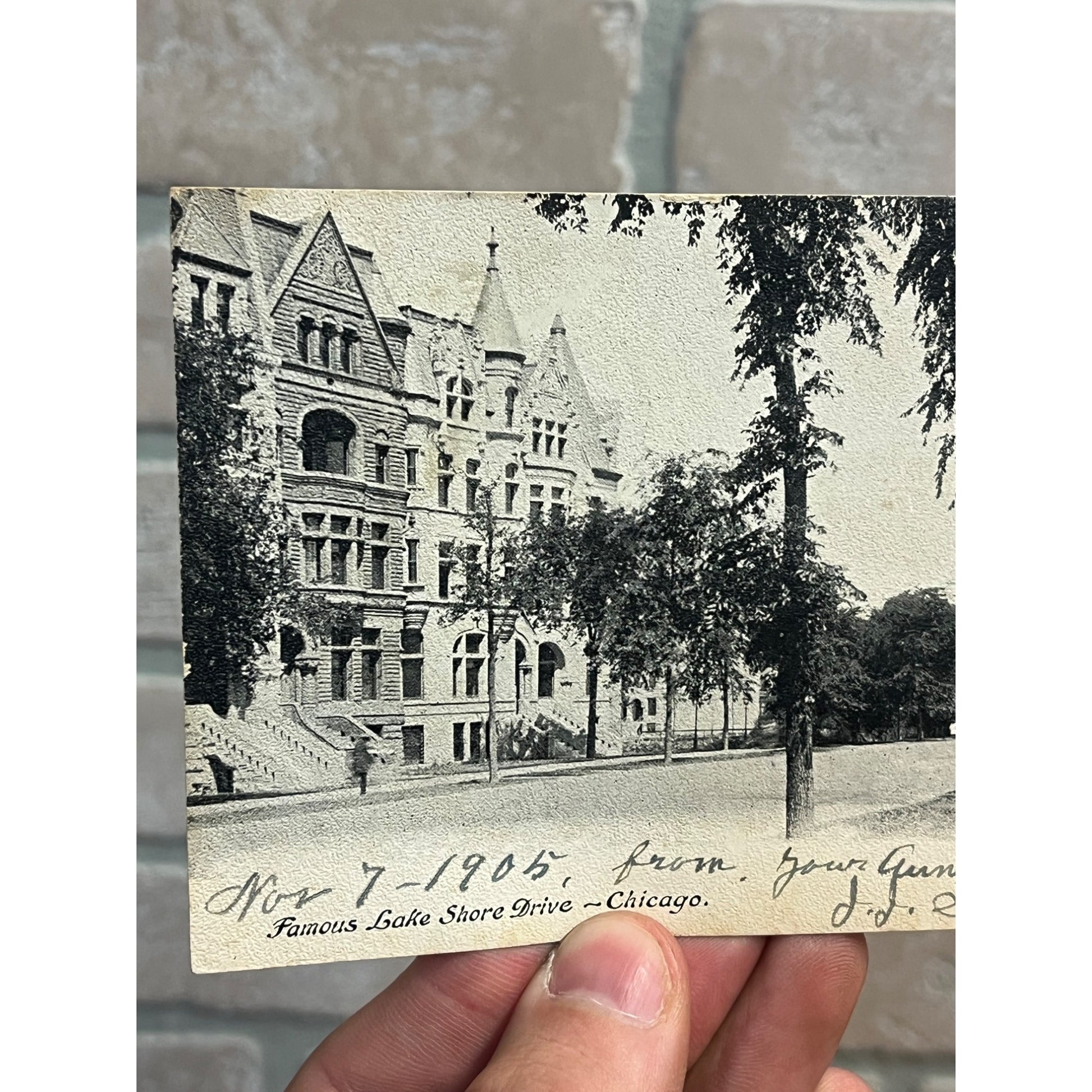Vintage 1900s Chicago Illinois Postcard Lake Shore Drive Street View