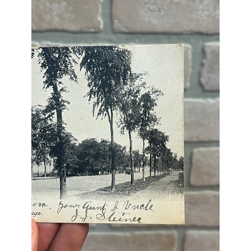 Vintage 1900s Chicago Illinois Postcard Lake Shore Drive Street View
