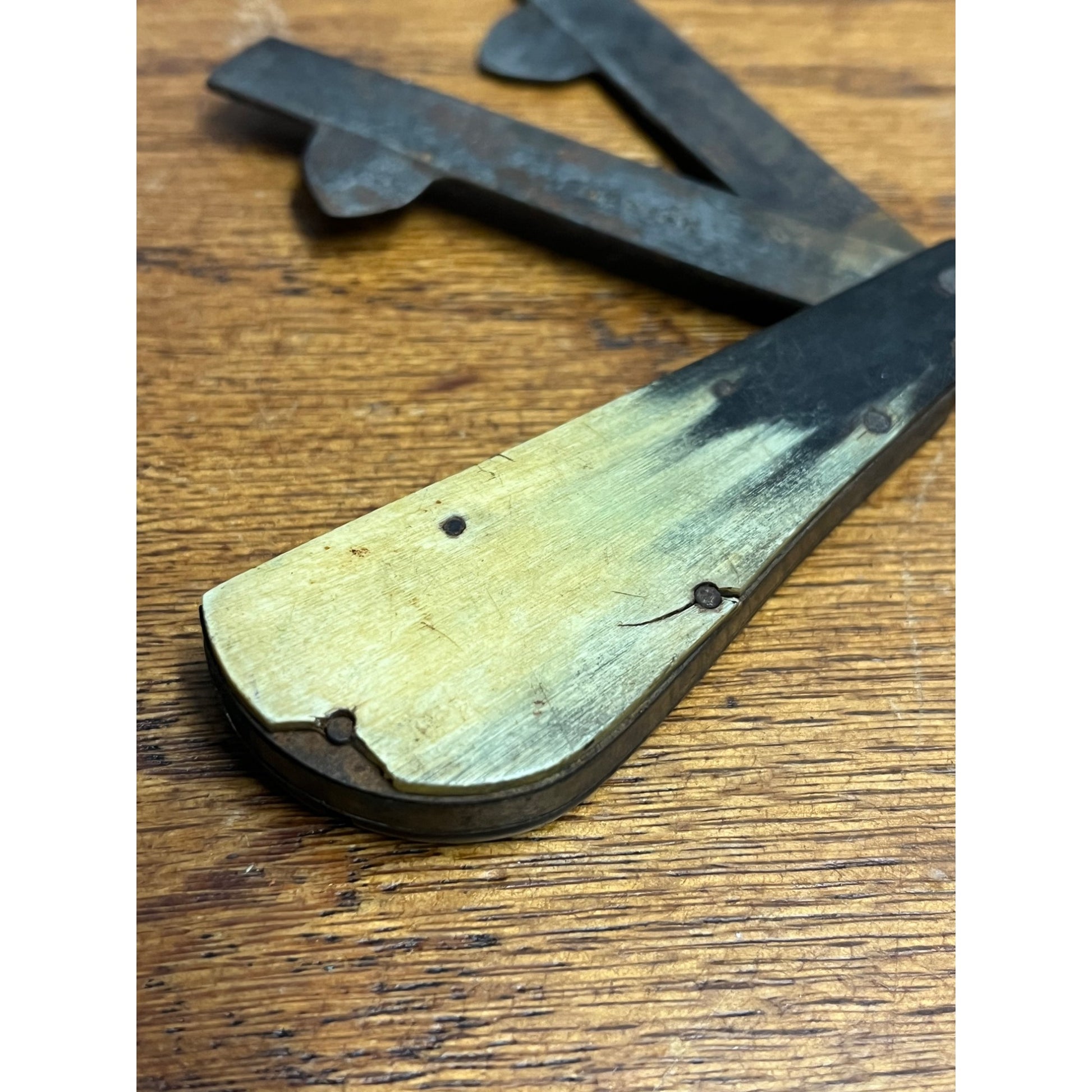 Antique Borwick Fleam Surgeon Tool Knife Bleeder Quack Medical Bone Handle