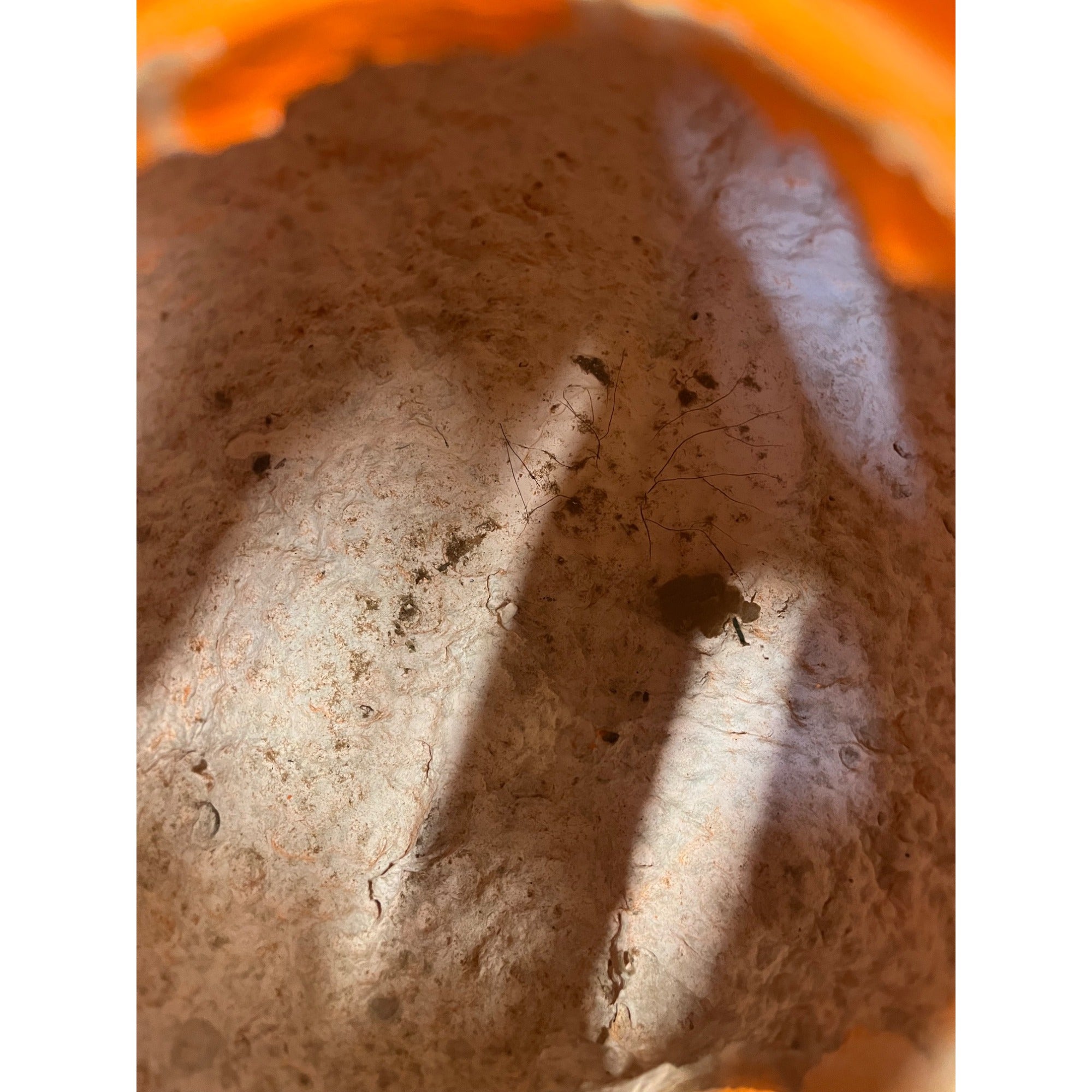 Vintage Halloween LARGE 8" Jack O' Lantern Paper Mache Pulp JOL