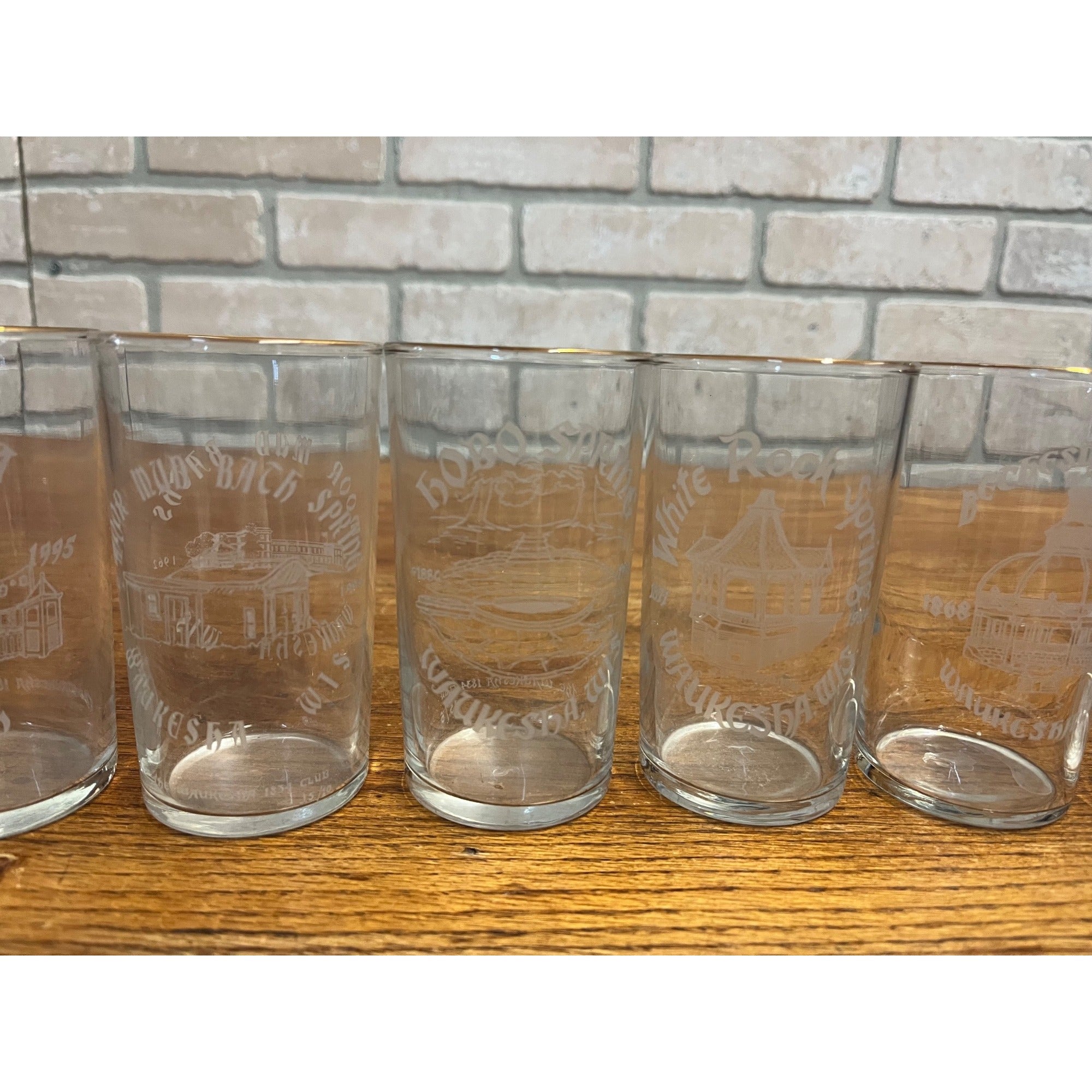 Vintage Waukesha, Wisconsin Historical Glass Set (6) 1834 Club - Springs