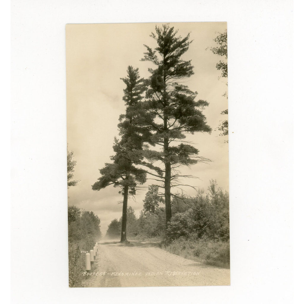 Vintage Route 55 Menominee Indian Reservation Pine Tree RPPC Postcard Wisconsin