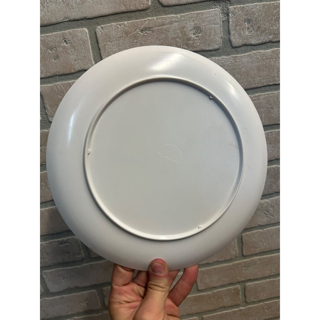 Vintage McDonalds Plate 1977 Ronald McDonald and Grimace Melemine Kids Fall