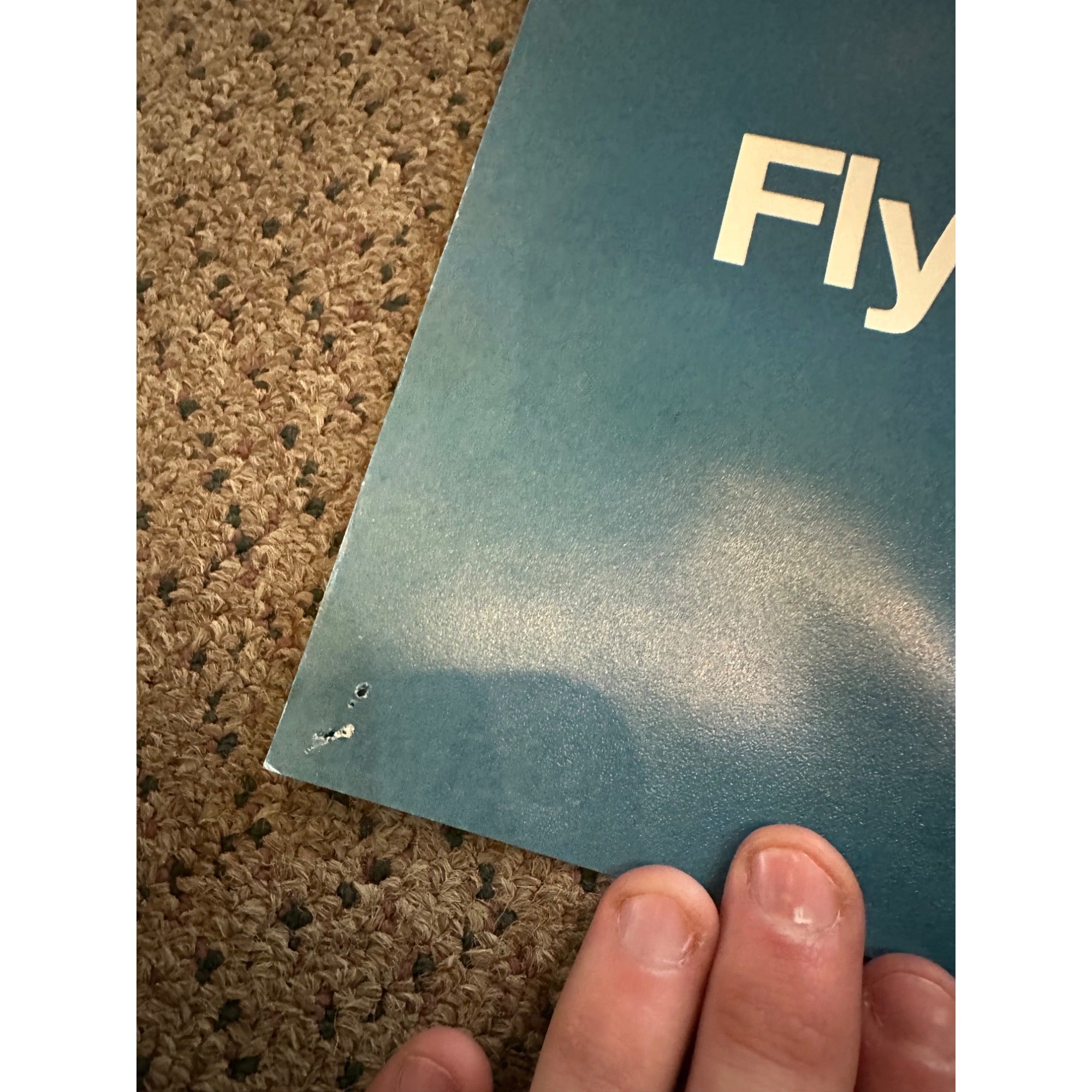 RARE Original Vintage Fly Northwest Orient Airlines Seattle Poster Airport Travel