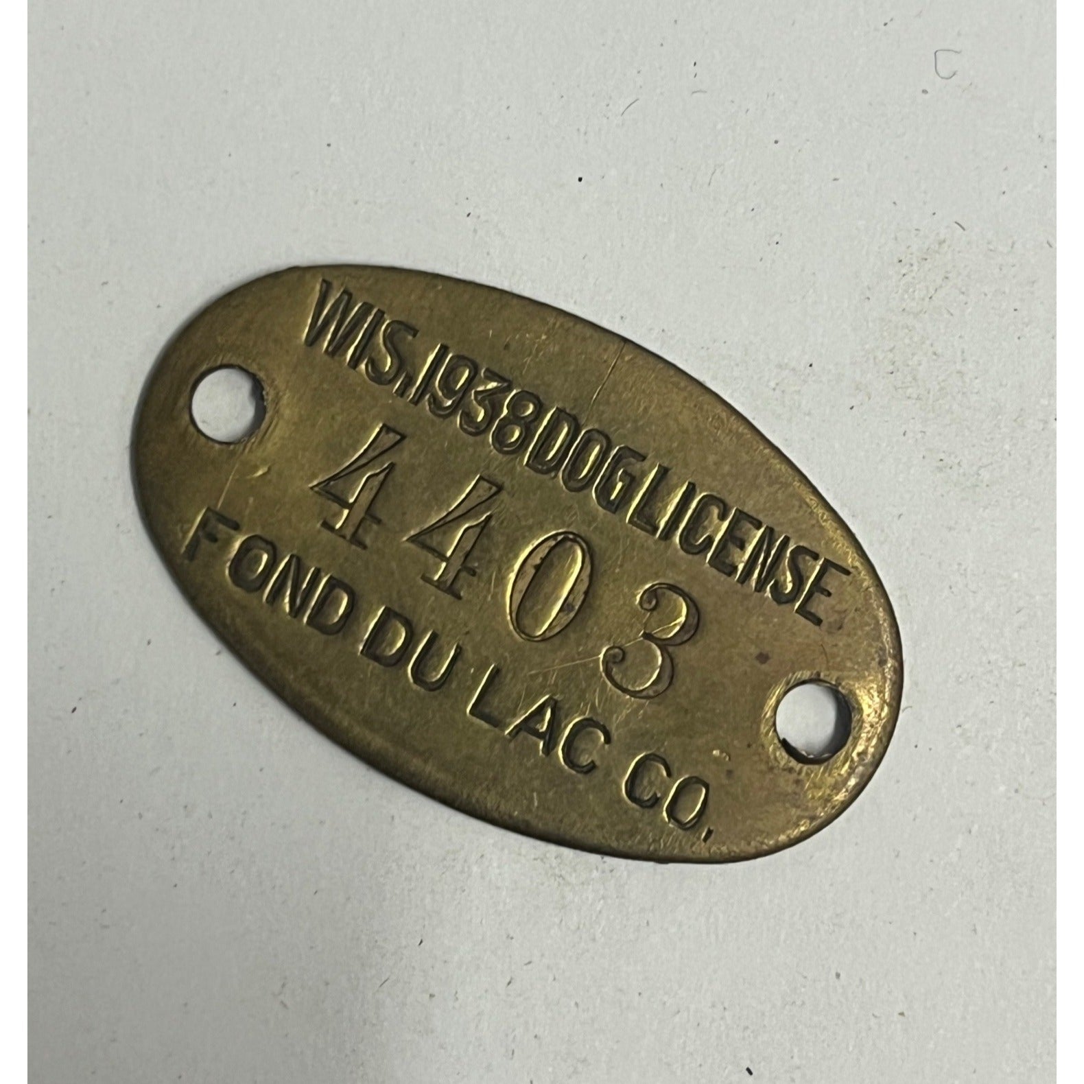 Vintage Dog License Tag Fond du Lac County Wisconsin 1938