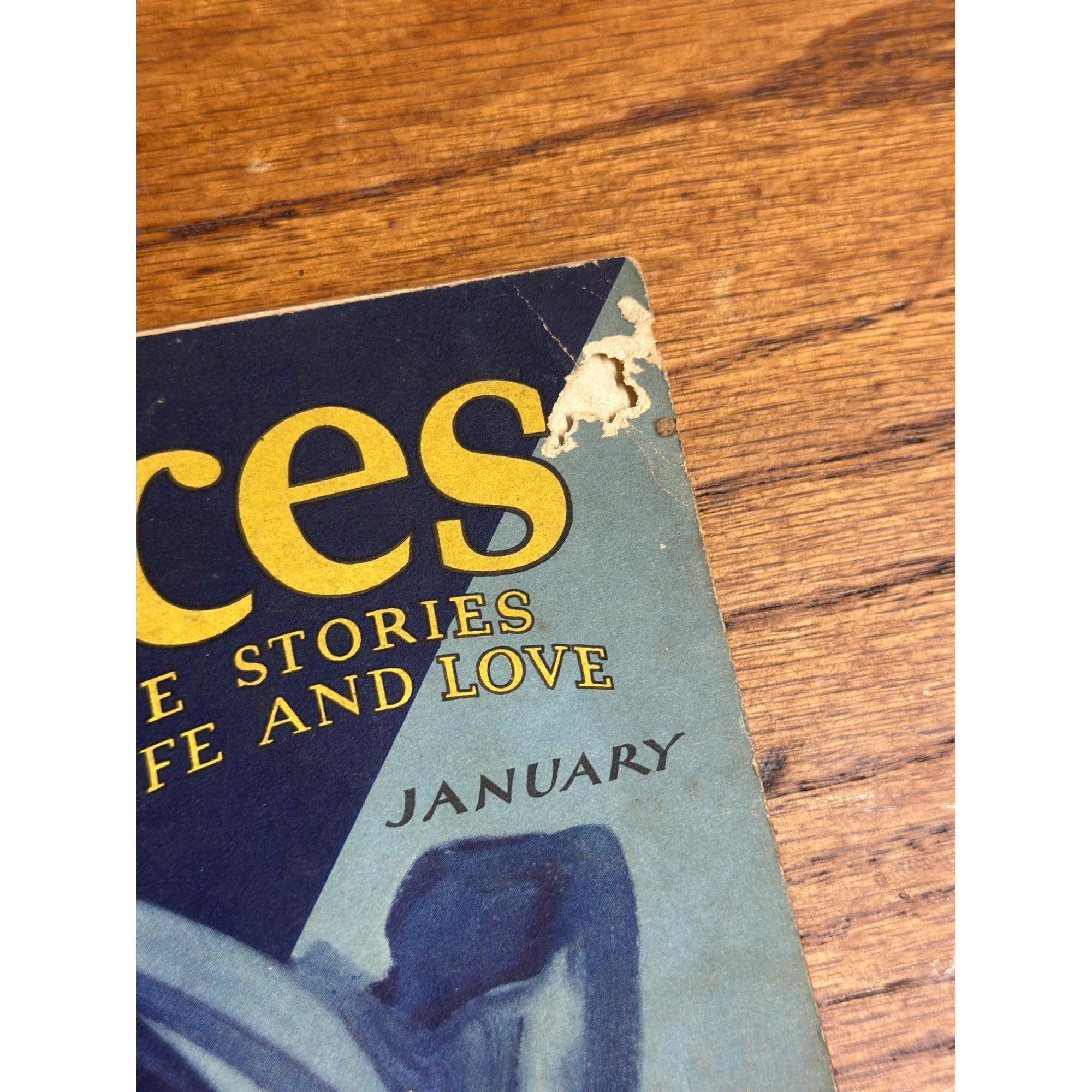 Vintage True Experiences Life & Love Stories Pulp Magazine January 1933