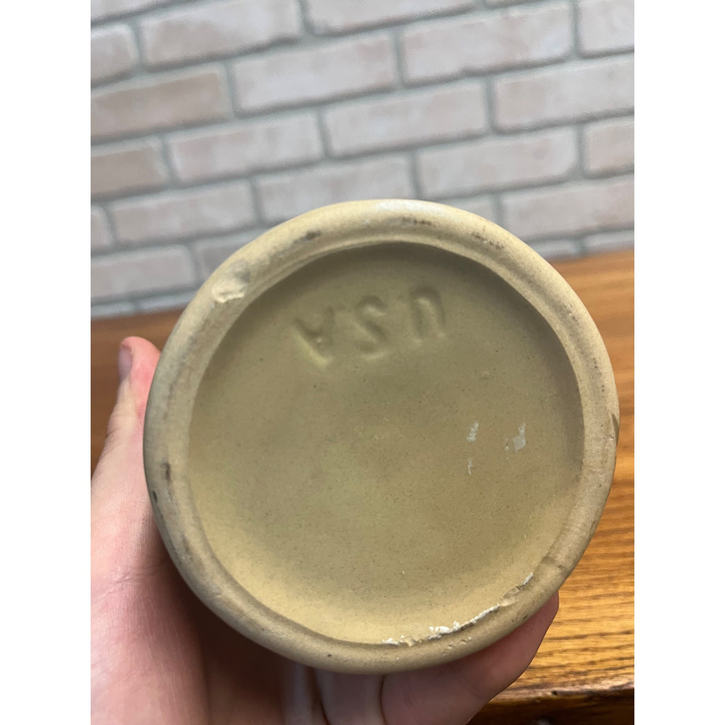 Vintage University of Wisconsin Oshkosh College Stoneware Jug