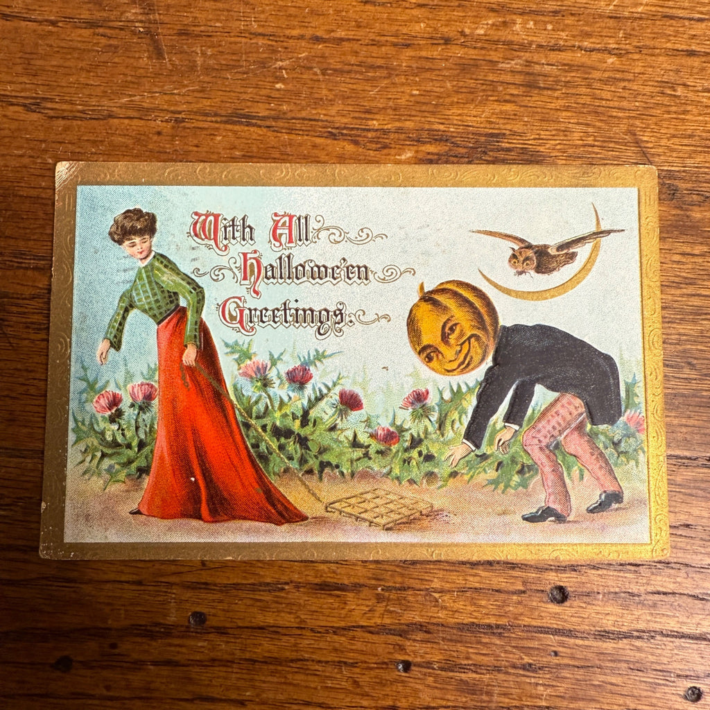 Halloween Greetings 1909 Pumkinhead Hofmann 2097 Owl moon Antique PostCard