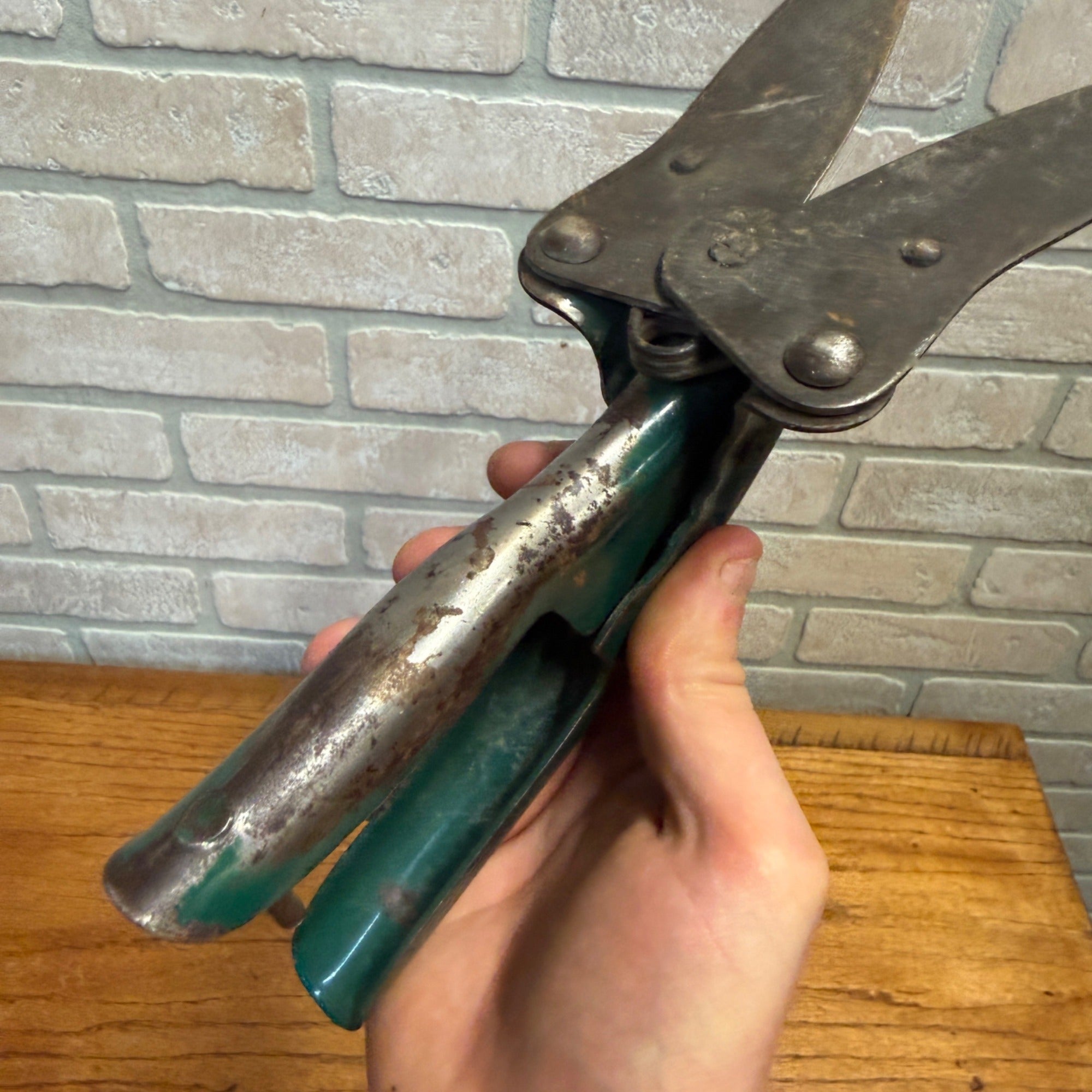 Vintage Hand Garden Shears Loppers Pruners Greenhouse Garden Decor Green